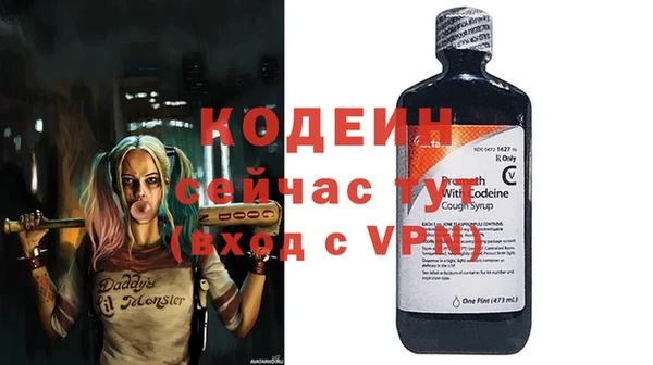 амф Гусиноозёрск