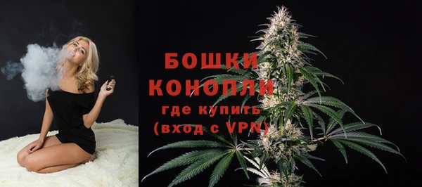 амф Гусиноозёрск