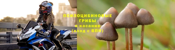 амфетамин Гусев