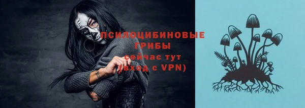 герыч Гусь-Хрустальный