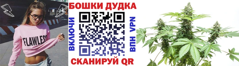 Купить  Афипский  Канабис Amnesia 